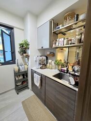 The Florence Residences (D19), Apartment #558734071